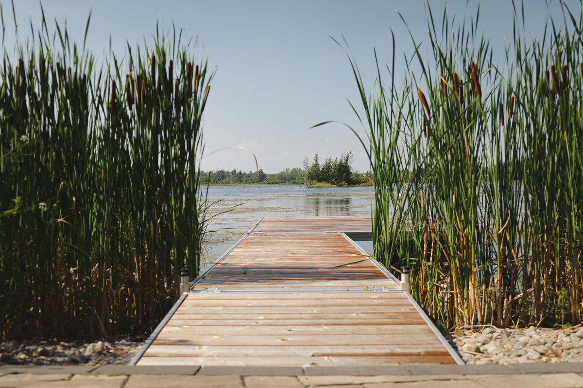 Plaque d'accès 3' x 4'